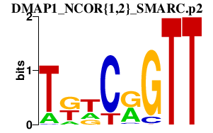 logo of DMAP1_NCOR{1,2}_SMARC.p2
